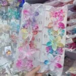 Claw clip Plumeria Flower Claw Clip 3-Piece Set