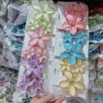 Claw clip Plumeria Flower Claw Clip 3-Piece Set